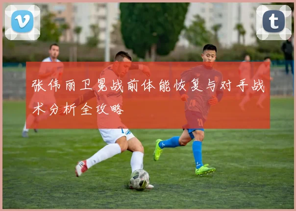 张伟丽卫冕战前体能恢复与对手战术分析全攻略